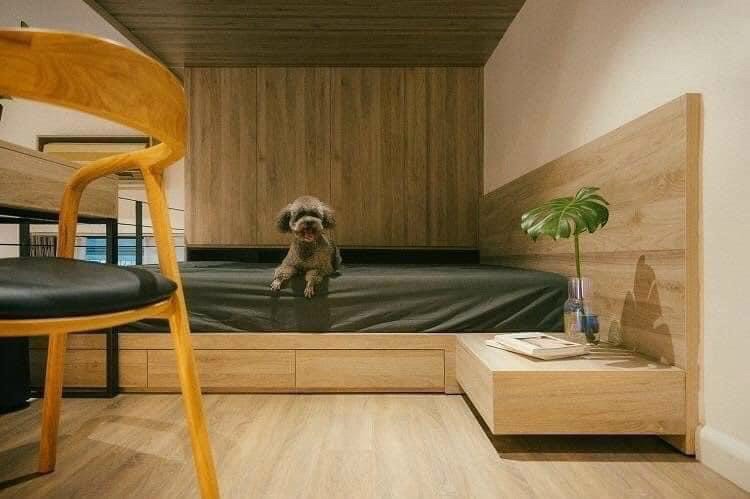 Thiết kế cải tạo nội thất không gian sống 5 cai tao noi that nha o 3